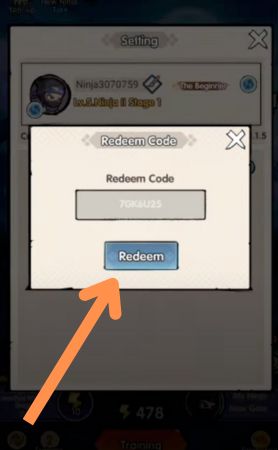 Go Go Ninja Codes Redeem Step 3