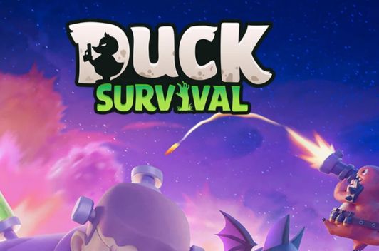 Duck Survival Codes