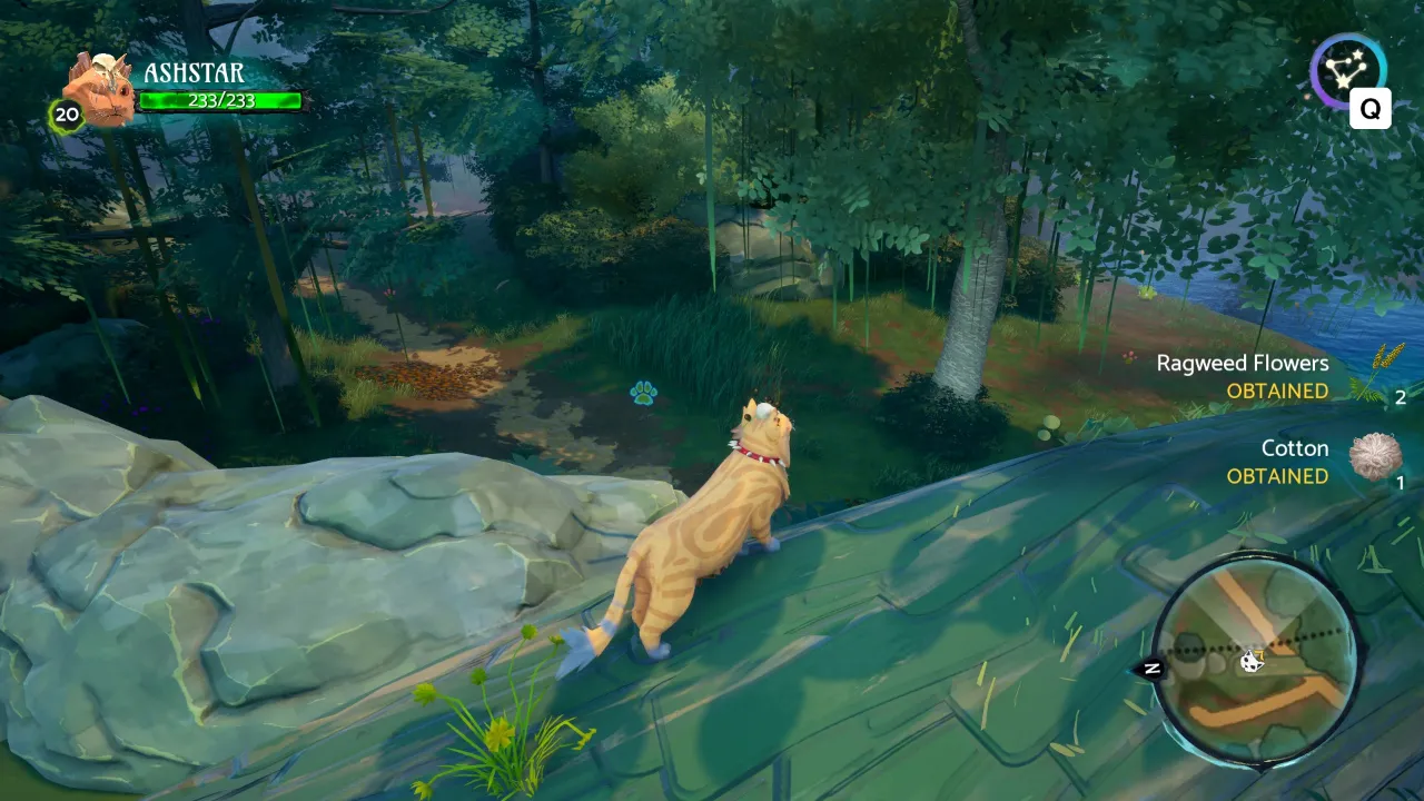 Warrior Cats: Clans Of The Forest Achievements - Combat 22